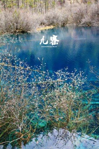 集装箱货运船